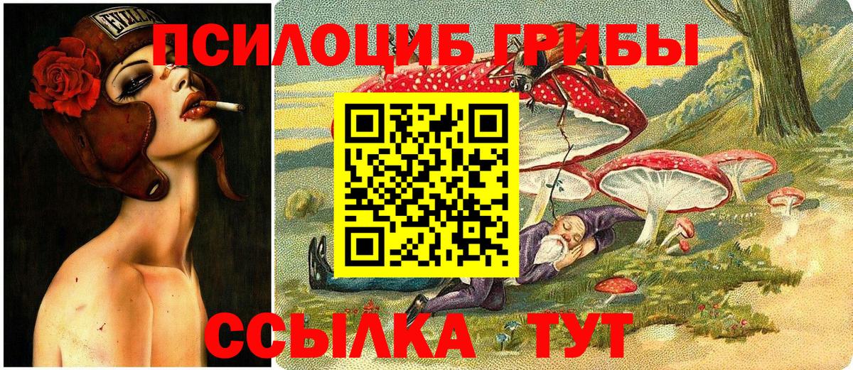 Чехов  закладки  Вход с VPN  Галлюциногенные грибы ЛСД 